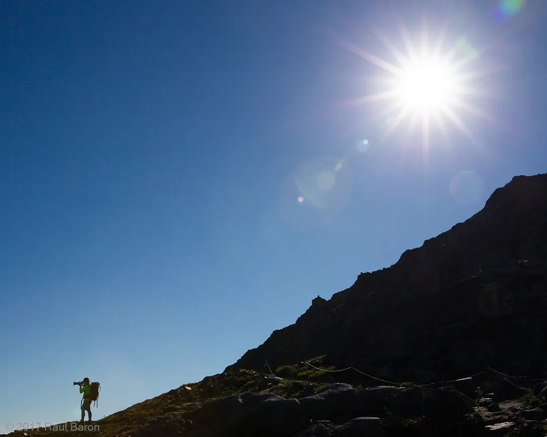 A photograph titled Back Light