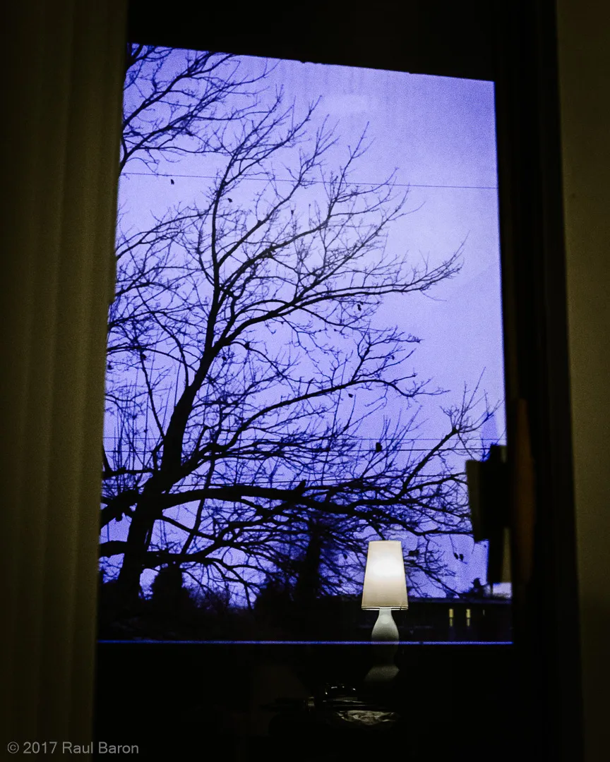 A photograph titled Evening Near