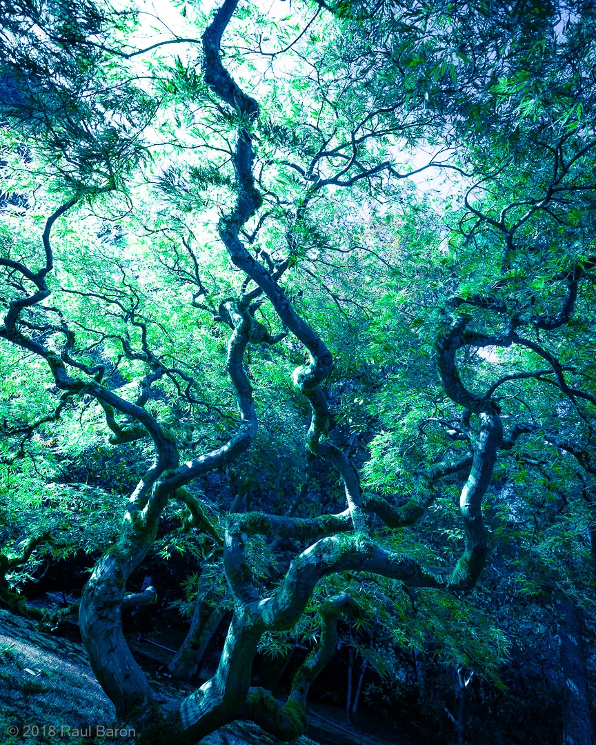 A photograph titled Threshold