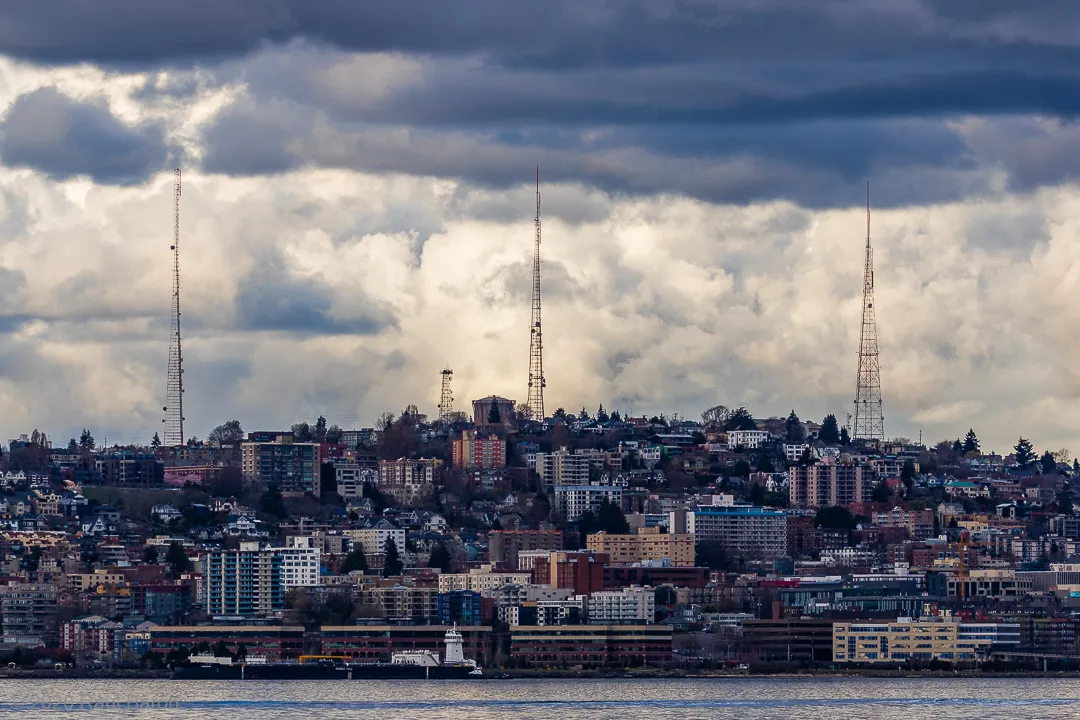 A photograph titled Magnolia