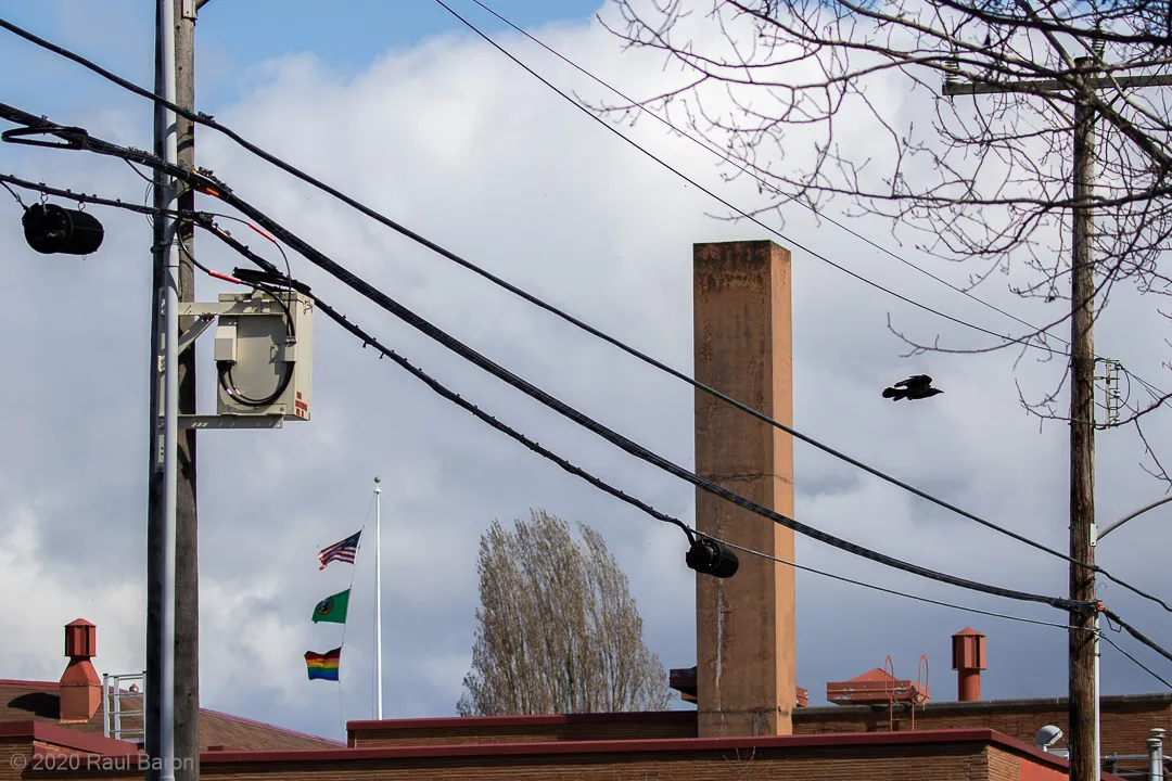 A photograph titled West Seattle