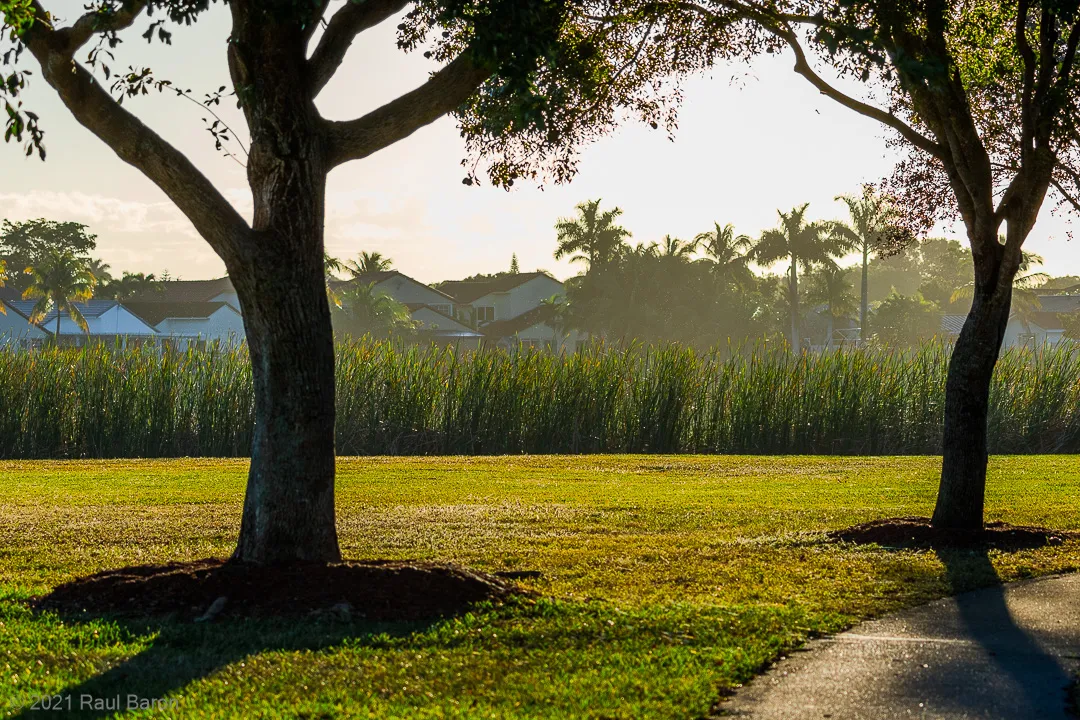 A photograph titled Park Green