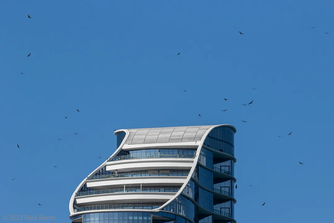 A photograph titled Thermal